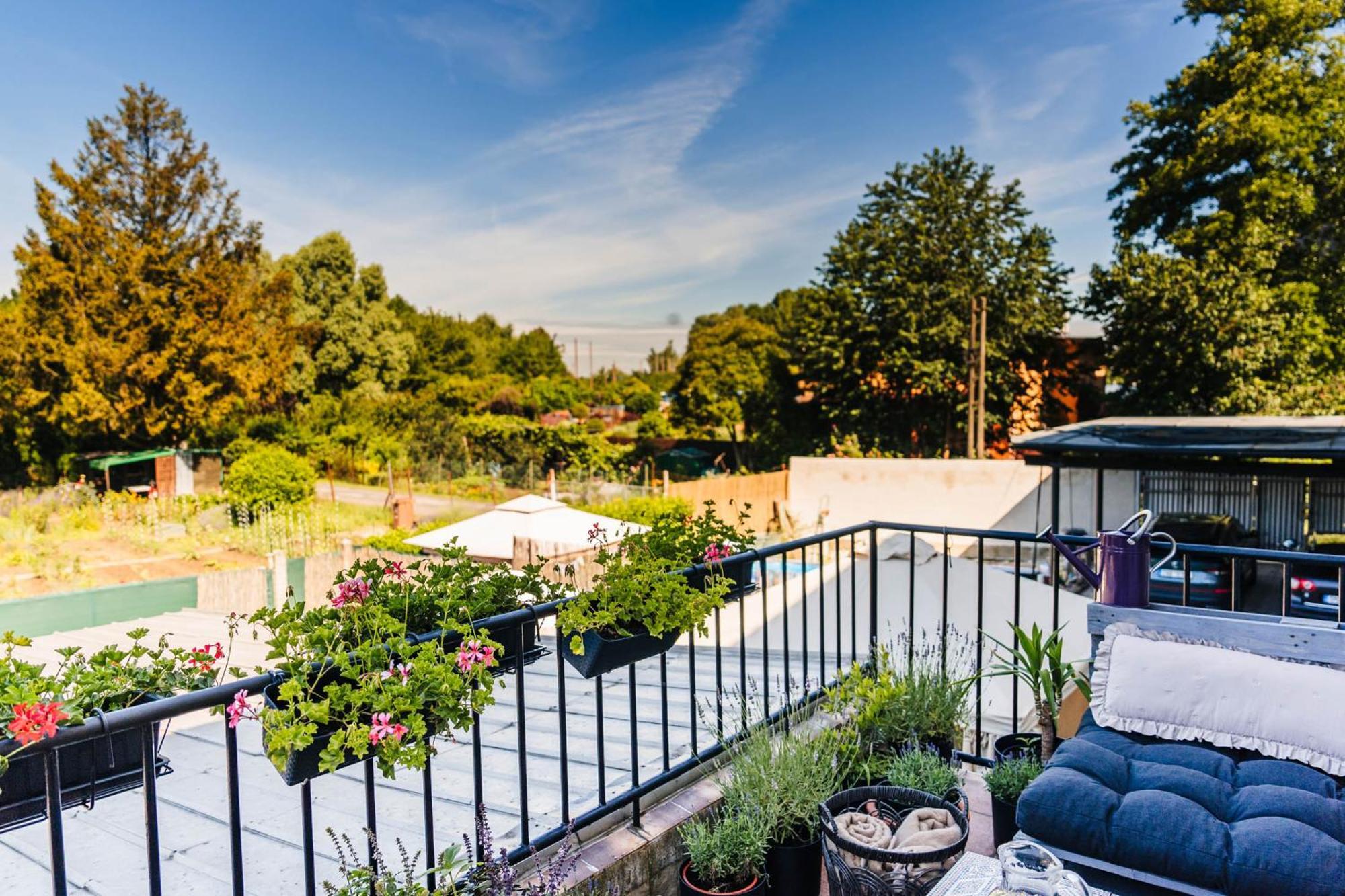 Silvie Apartments - Lazecka Όλομουτς Εξωτερικό φωτογραφία